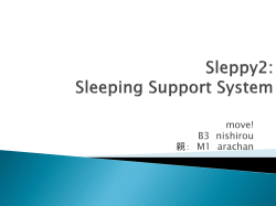 Sleeping Support System