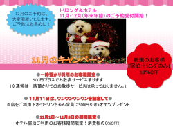 コクア11月キャンペーン