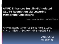 AMPKは膜のコレステロール量を低下させることで、 インスリン刺激による