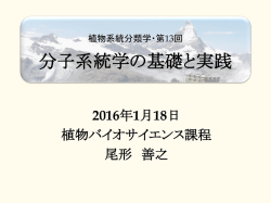 分子系統学の基礎と実践 2016年1月18日 植物バイオサイエンス課程