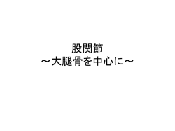 前捻角 頸体角 前捻