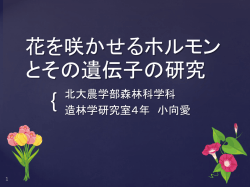豊凶が大きい木