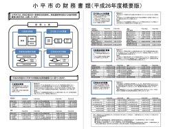 （平成26年度概要版）（MS PowerPointファイル 120KB）