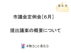 一般会計補正予算（第2号）