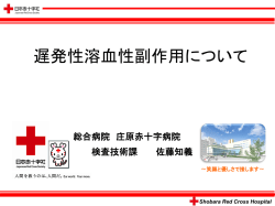 副作用報告（庄原赤十字病院） (そのほかのファイル)