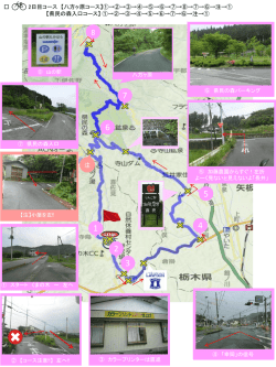 2日目くまの木サイクリング