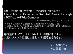 PGC-1α/ATF6α複合体による 小胞体ストレス応答は、運動への適応を
