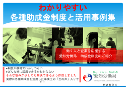 28_koyoujoseikin