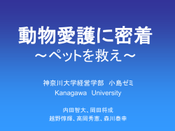 動物愛護に密着