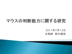 マウスの判断能力に関する研究