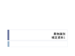 資料1