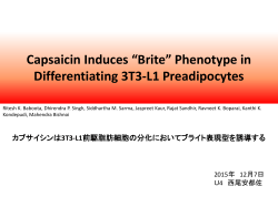 カプサイシンは3T3-L1前駆脂肪細胞の分化においてブライト表現型を