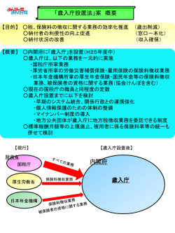 内閣府 歳入庁