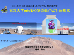東大 mini TAO 計画および TAO 計画