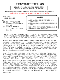 十勝の沿岸湿地
