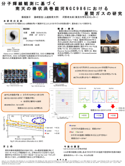 分子輝線観測に基づく南天の棒状渦巻銀河