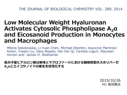 低分子量ヒアルロン酸は単球とマクロファージにおける 細胞質型