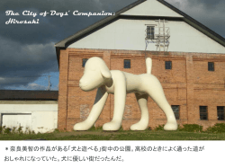The City of Dogs` Companion: Hirosaki