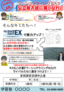 ベーシックウイングEX