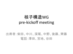 WG* pre-kickoff meeting