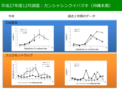 PowerPoint