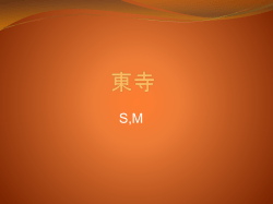 東寺 S,M