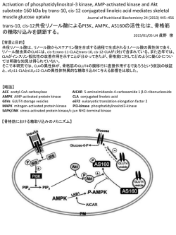 レジュメを見る