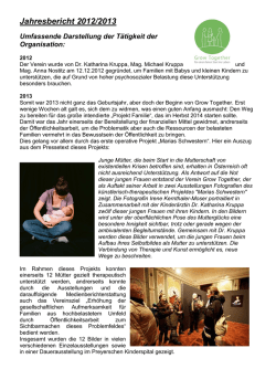 Jahresbericht 2013.pfd