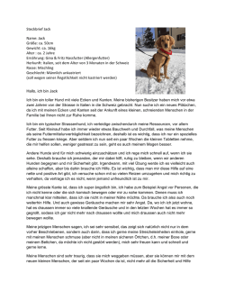 Jack, dringend neues Zuhause gesucht