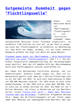 Gutgemeinte Dummheit gegen "Fl&uuml;chtlingswelle"