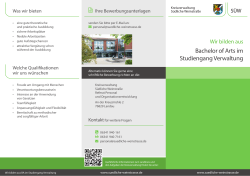 Flyer Bachelor of Arts - Landkreis Südliche Weinstraße