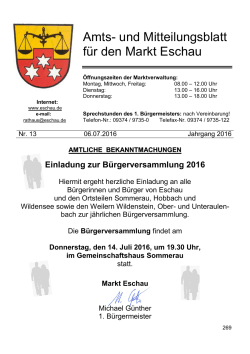 Aktuelles Amts- und Mitteilungsblatt vom 06.07.2016