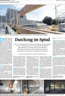 Die ganze Reportageseite als PDF