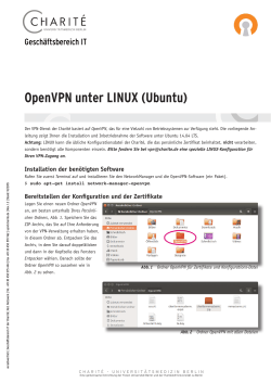 OpenVPN unter LINUX (Ubuntu)