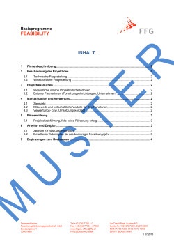 Feasibility-Antragsformular 2016-07 (Muster, pdf)