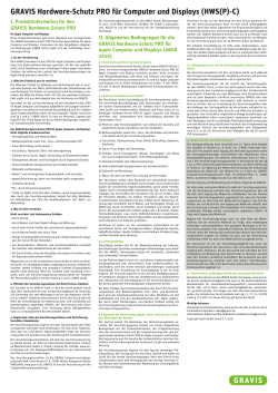GRAVIS Hardware-Schutz PRO f&uuml;r Computer und Displays (HWS(P