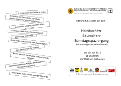 Hainbuchen- B&auml;umchen- Sonntagsspaziergang