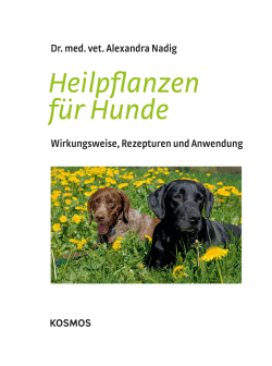 Heilpflanzen für Hunde