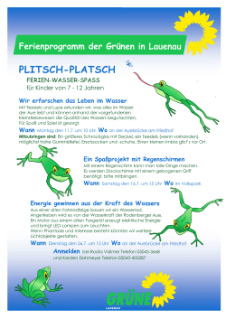 Ferienprogramm der Grünen in Lauenau Plakat A3