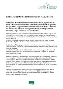 Gold und Silber f&uuml;r die Zentralschweiz an den SwissSkills
