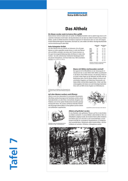 Tafel im PDF-Format anschauen - Stiftung Natur und Wirtschaft