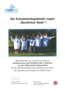 3a/b - Spende an die Schmetterlingskinder