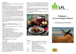 Die Publikation als PDF 1,4 MB - Bayerische Landesanstalt für