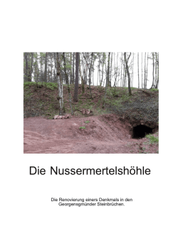 Die Nussermertelshöhle
