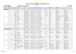 Starterliste_FS Herrenberg Kbl_Pony_2016
