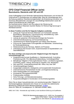 CFO Chief Financial Officer (w/m)