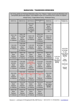 trainingsplan