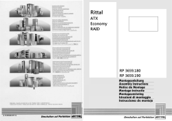 Rittal ATX Economy RAID