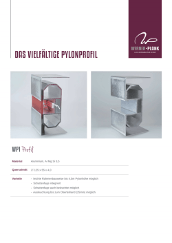Pylonprofil mit Schattenfuge