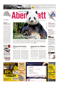 unserneubärliner - Berliner Abendblatt